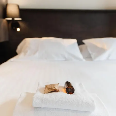 Du Petit Saint Bernard Hotel *